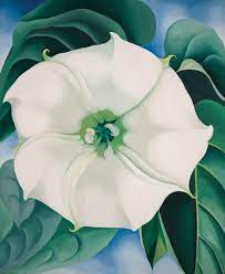 Alfred stieglitz, georgia o'keefe, georgia totto o'keeffe, georgia totto o'keeffe, 乔治亚·欧 one of the most influential american artists of the 20th century, georgia o'keeffe promoted new. Georgia O Keeffe Exhibition At Tate Modern Tate