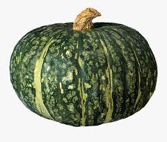 Any pictures from dynamicpickaxe can be used for your creativity! Pumpkin Png Image Green Pumpkin Transparent Background Free Transparent Clipart Clipartkey