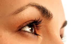 A great eyebrow serum must meet two requirements: Why Don T Eyelashes And Eyebrows Grow Long Like Head Hair Mental Floss