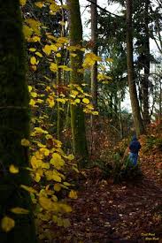 Dash Point State Park Federal Way 2019 All You Need To