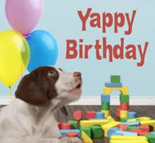 #happybirthday #funnymeme #smileydog #happygodoodle #sidewalkchalk #balloons. Happy Birthday Funny Dog Videos D For Dog