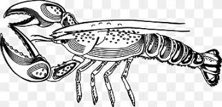 Larry would have originally been blue because real lobsters are blue lobsters and are only red. Lobster Trap Png Images Pngwing