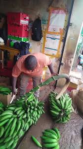 Delicious Fresh Food Clips to Satisfy Your Cravings