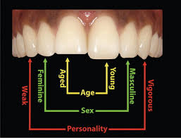 Dentogingival Aesthetics | Plastic Surgery Key