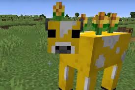 Chickens will also lay eggs periodically when walking on. Minecraft Pc Mutiplayer Spawn Minecraft Earth Minecraft Pictures Minecraft Anime
