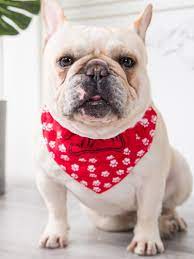 Dog Plaid Bandana Scarf For French Bulldogs Dog Plaid French Bulldog Dog Neckerchief
