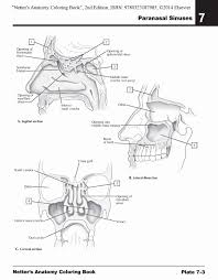 The Anatomy Coloring Book Best Of Galleon Netter S Anatomy Coloring Book With Student Consult Access N In 2020 Anatomy Coloring Book Coloring Books Coloring Book Pages