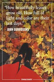Good vibes quotes to lift you up. 25 Inspiring Fall Quotes Best Quotes And Sayings About Autumn