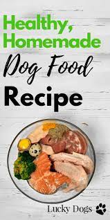Luxury Boarding Dog Owner Tips Coming Soon Senior Dog Food Recipes Raw Dog Food Diet Healthy Dog Food Recipes