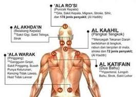 Ketahui kebaikan terapi bekam yang menjadi kegilaan atlet olimpik as. Teori Taibah Rawatan Sakit Kepala Dan Migrain Dengan Kaedah Bekam Basah My Rehab Spa