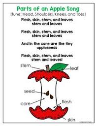 This is a great activity that can be adapted in many ways, and is one that i play a lot, possibly the most out of this article. 220 Circle Time Activities Ideas Circle Time Activities Circle Time Time Activities