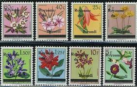 Image result for Dissotis gilgiana