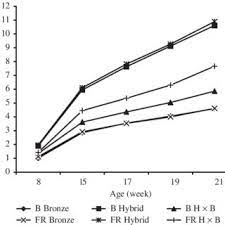 Ok so i see all these post about turkey size but what is the average dressed weight of the differant types of turkeys. Average Cumulative Live Weight Gains Of Three Turkey Genotypes Under Download Scientific Diagram
