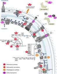 A Review of Antibacterial Candidates with New Modes of Action