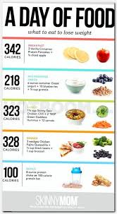 Pin On Diet Plan