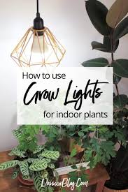Guide To The Best Led Grow Lights Indoor Plant Lights Led Grow Lights Diy Growing Plants Indoors