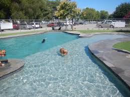 Boarding & grooming for your pet.peace of mind for you.over 20 years of experience within southern california!proud pcsa. New Water Park For Dogs In Southern California Golden Retriever Dog Forums