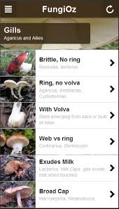 3 Step Mushroom Identification With Fungioz App Fungioz