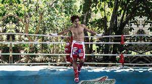Jerwin juntilla ancajas (1 ocak 1992 doğumlu) filipinli profesyonel boksör. Filipino Boxing Champ Jerwin Ancajas To Compete At One Kingdom Of Heroes In Thailand Conan Daily