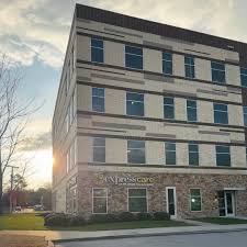 Image result for Erlangea