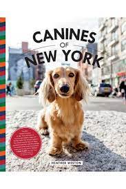 When the sun won't shine, the bills won't stop, and the news is all bad, you need to lose yourself in a coffee table book of dog photos. 20 Coffee Table Books About Dogs Hgtv Personal Shopper Hgtv