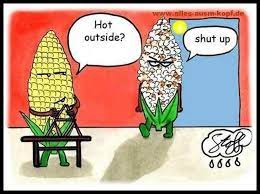 Pin On Funny