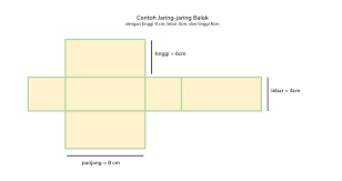 More images for jaring jaring balok beserta ukurannya » Contoh Gambar Jaring Jaring Balok Yang Bisa Kita Buat Dengan Mudah Semua Halaman Fotokita