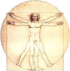 Vitruvian Man Konsthistoria Psykedeliskt Illustration