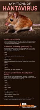 Quedan sólo 7 personas en cuarentena. Hantavirus Symptoms Causes Treatment Bulksupplements Com