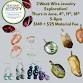 3 Week Jewelry Workshop