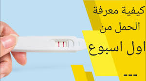 Check spelling or type a new query. Funeral Wealth Goodbye Ù…Ø¹Ø±ÙØ© Ø§ÙˆÙ„ ÙŠÙˆÙ… Ø­Ù…Ù„ Sandilard Com