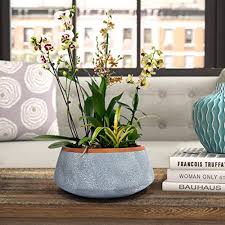 3 pack black flower pots outdoor indoor garden planters, plant containers with drain hole, plant pots for all home garden flowers succulents. Large Succulent Planter Pots Ceramic Indoor Outdoor Garden Pot With Drainage For Plant Flower 8 Inch Gray Pricepulse