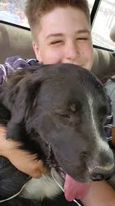 UPDATE: GEORGIE RESERVED! <3 *******************************************  This is Georgie! <3 And this is her story! She was found 8 years ago,