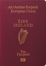 The 2019 henley passport index and global mobility report is a unique publication that brings together commentary from leading scholars and professional experts on the major trends shaping global and regional mobility patterns today. Ireland Passport Dashboard Passport Index 2021