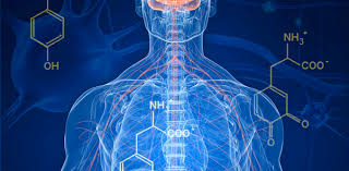 Methamphetamine abuse linked to Parkinson's