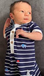 The Shed—A memoir by Richard Playle…