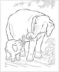 Maybe you would like to learn more about one of these? Mom And Baby Animal Coloring Pages Novocom Top