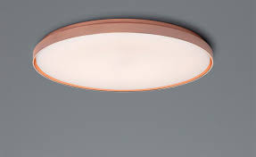 Clara Wall Ceiling Lamp Hivemodern Com