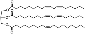 Sunflower Oil Wikipedia