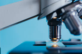 Jun 26, 2021 · basta de obscurantismo e preconceito. Racionalidade Obscurantismo E Ciencia Algumas Reflexoes Guedes Pires Braga Advocacia