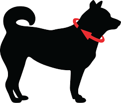 Maybe you would like to learn more about one of these? Size Guide Auburn Leathercrafters