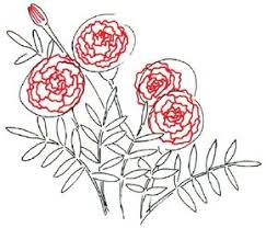 We have collected about 200 drawings for sketching so that. How To Draw A Marigold Howstuffworks