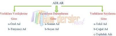 Ozel Ve Cins Isimler 3 Sinif Turkce