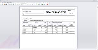 Fisa de magazie raportul de baza privind miscarile de stocuri. Contabilitate Program Gratis Victorysite