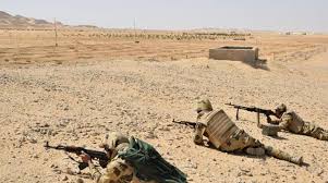 Our bulk buys are a bargain for landscaping larger areas or to get a polished look. 10 Militants Killed In Shootout With Egyptian Forces In Arish Asharq Al Awsat