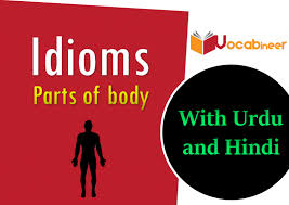 We did not find results for: Parts Of Body Idioms With Hindi And Urdu Meanings Part 2 Pdf