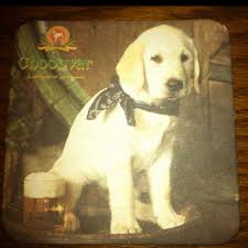 Chodovar Beer Brands Bier Beer