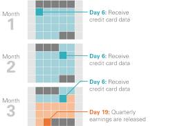 Quantinomics Credit Card Data