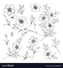 Set Of Linum Flower Elements Collection Of Flax Flowers On A White Background Vector Illustration Down Flower Drawing Flower Tattoo Drawings Flower Sketches