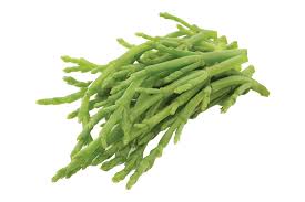 Image result for Salicornia perrieri